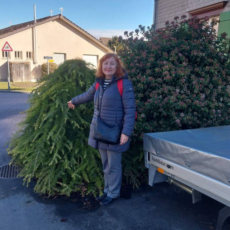 Mature Lady Ele 63 from Switzerland