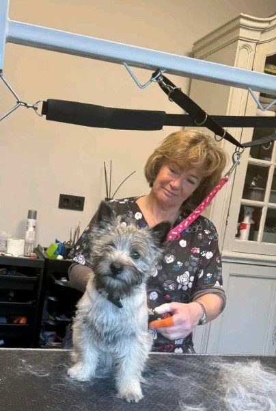 Beautiful Girl Hungatelina 27 from Albania