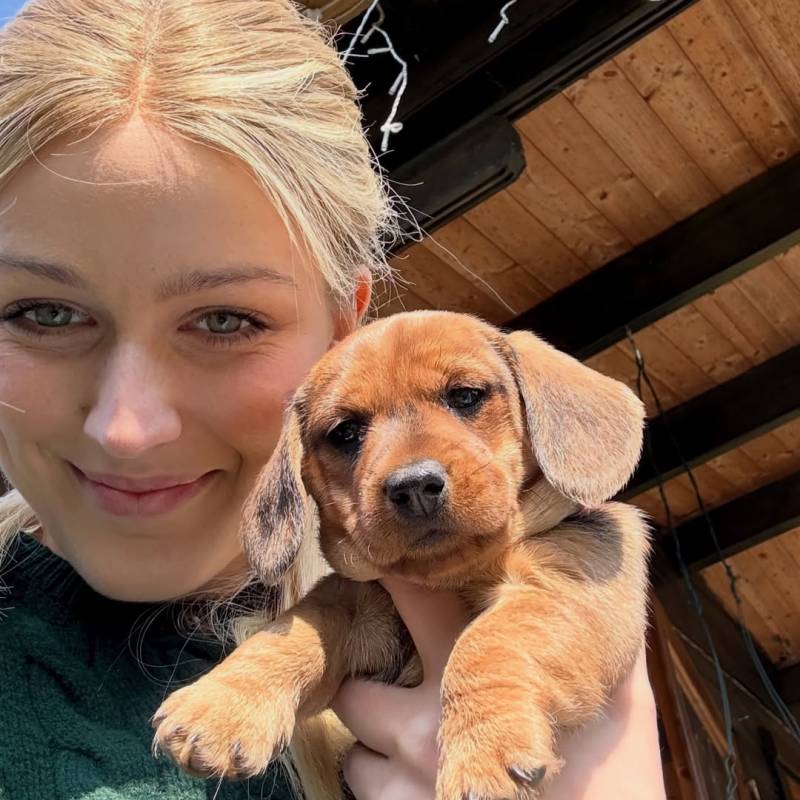 Single Donna Maria 31 from Germania