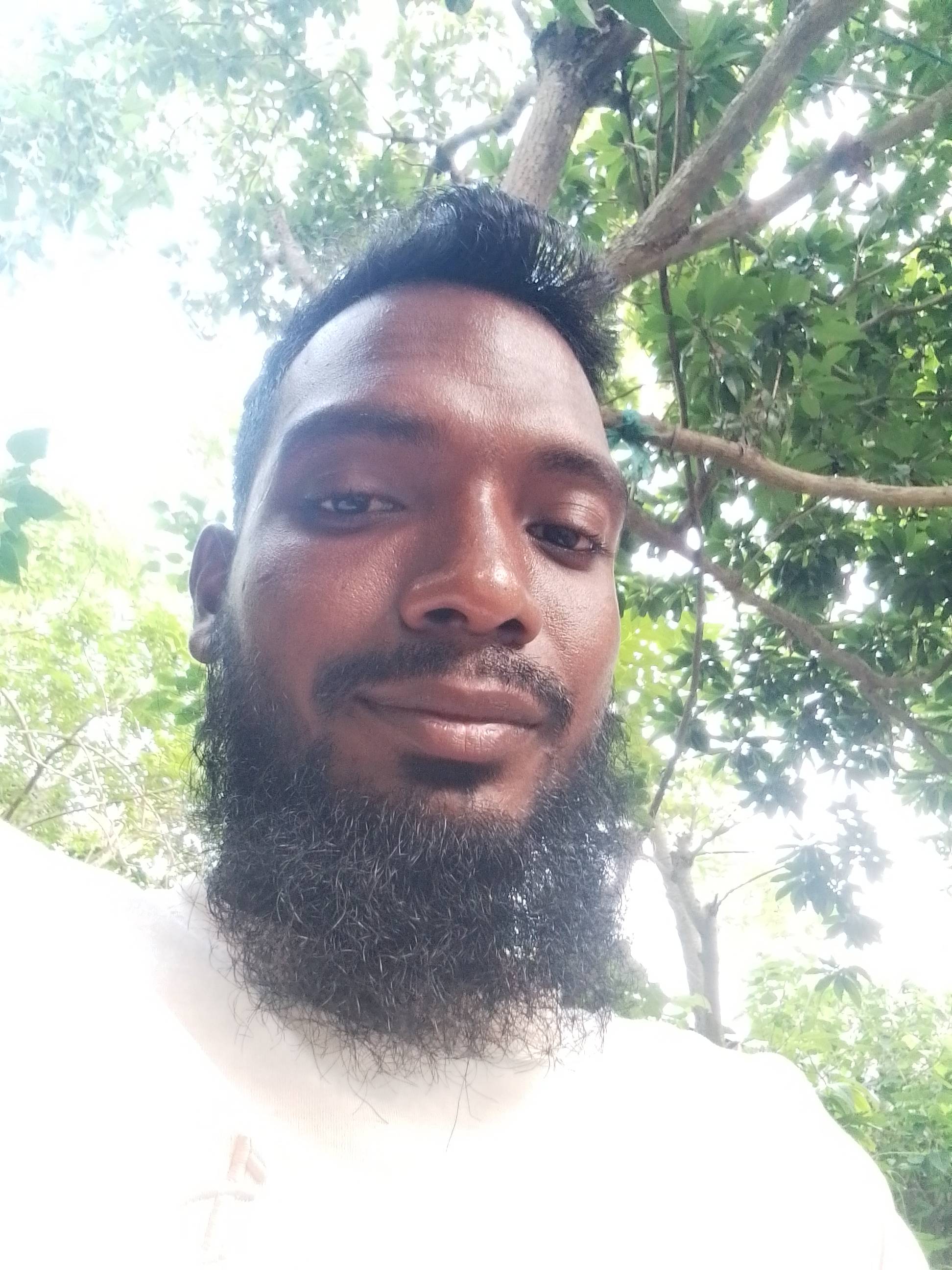 ibrahim64690