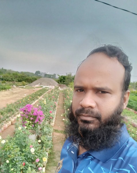 Media