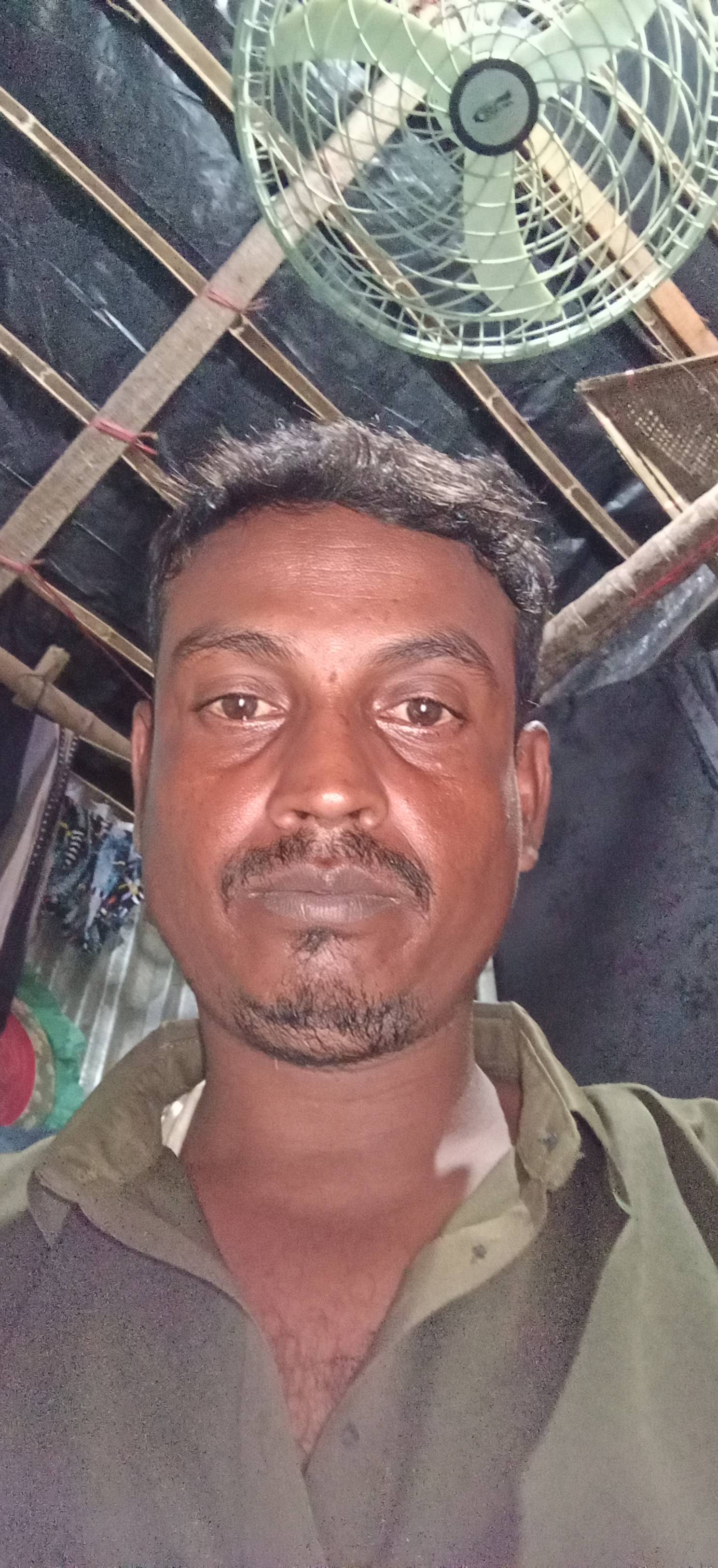 Mahedy34244