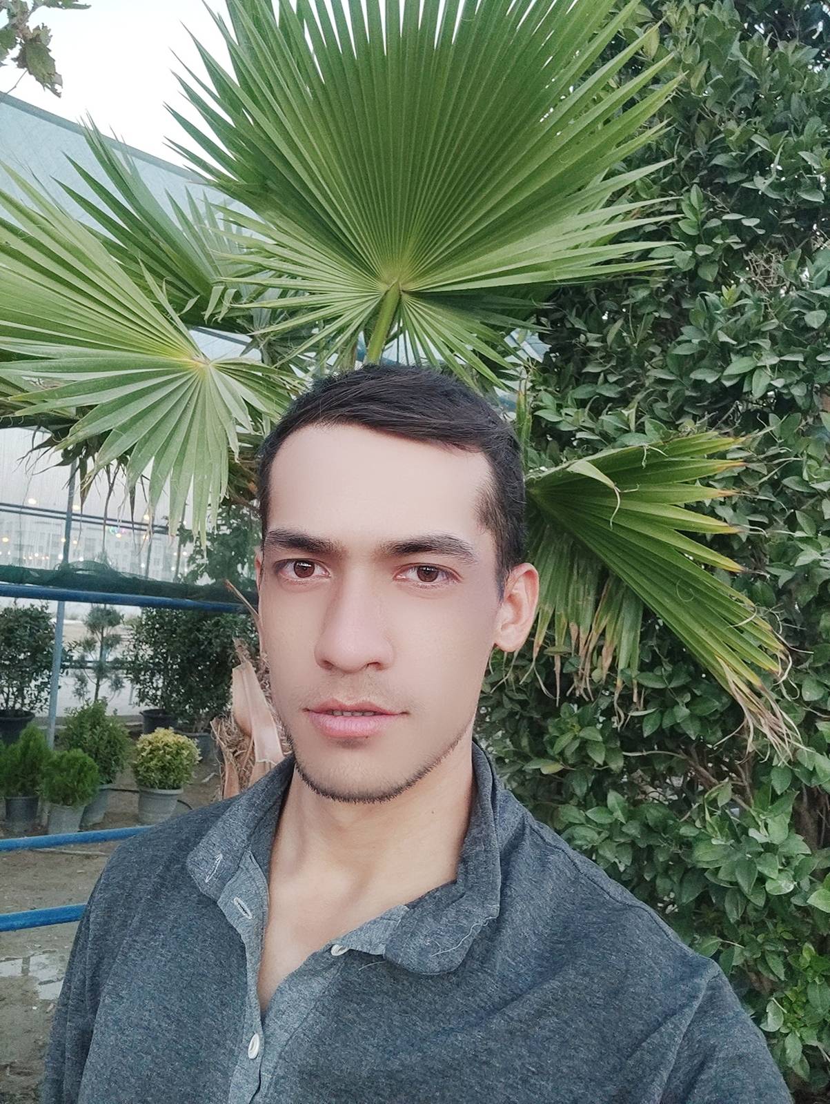 User